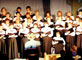 cowchoir